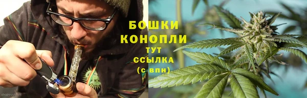 прущие крисы Арсеньев