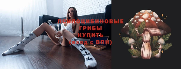 СК Алексин